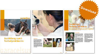 Ausbildung Tierheilpraktiker Prospekt