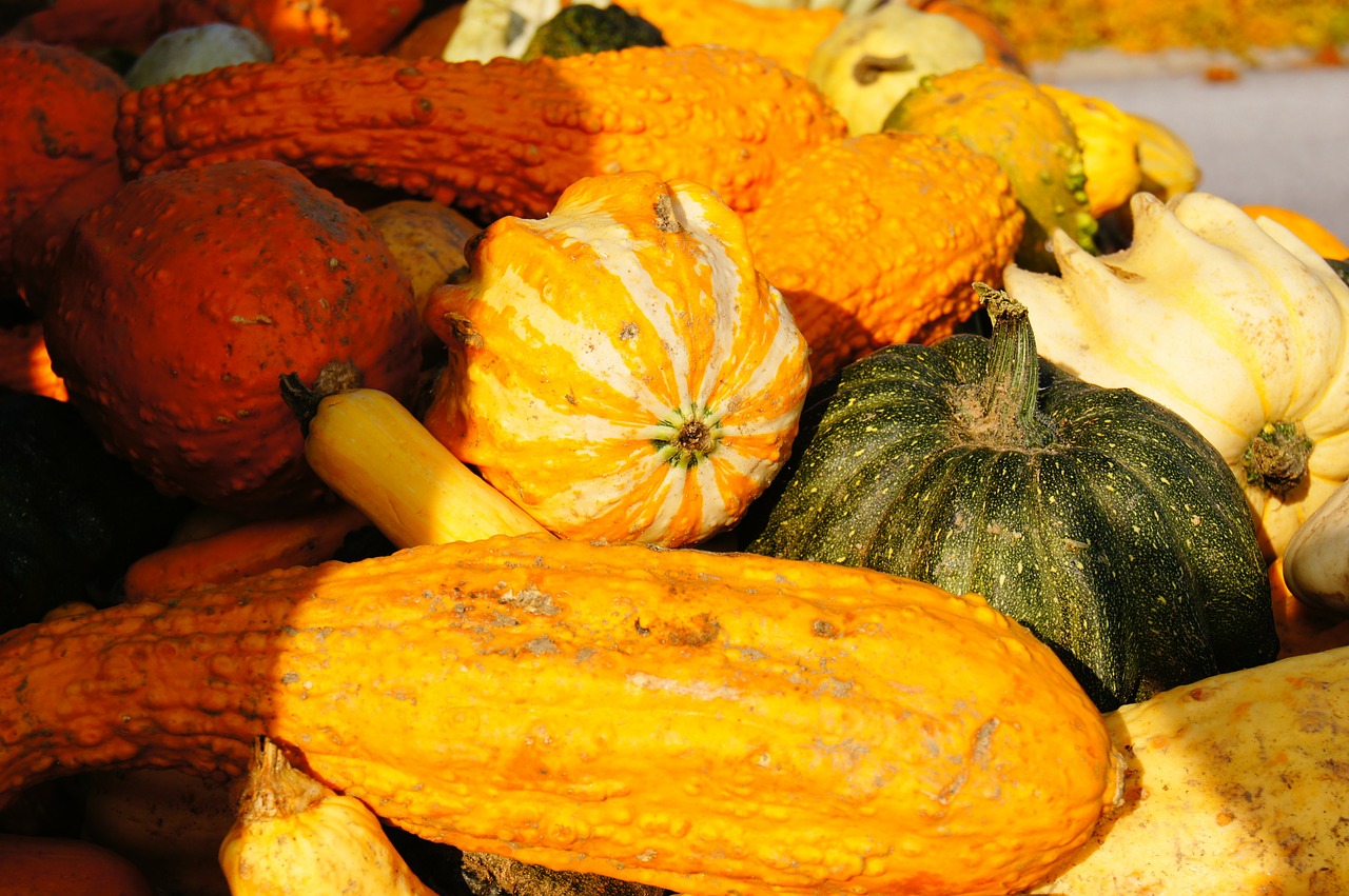 Mit Farben und Bewegung gegen die Herbstdepression